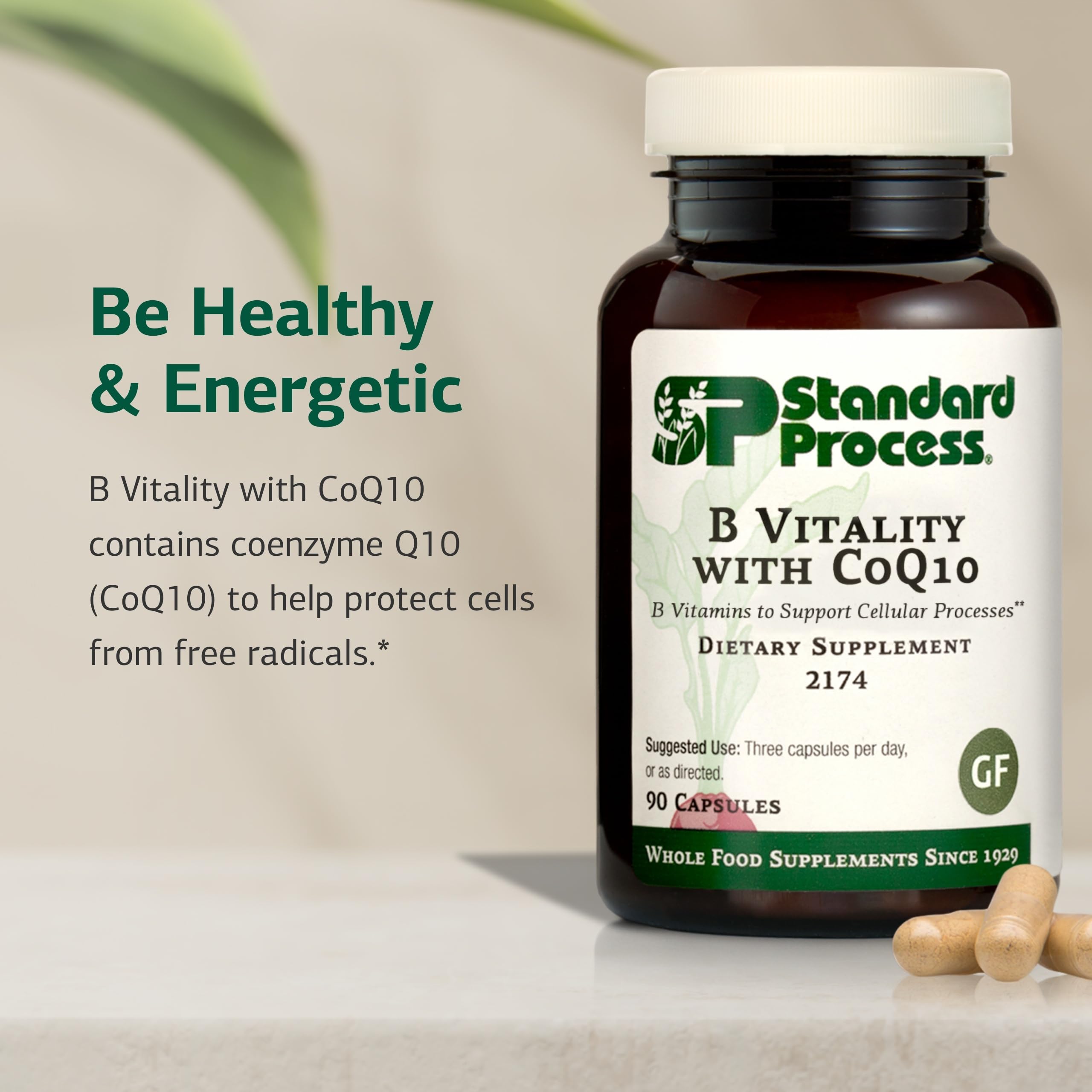 Standard Process B Vitality with CoQ10, B Vitamins Supplement, 90 Capsules — Amazon image 3