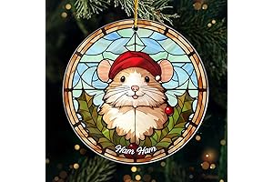 Pawfect House Personalized Hamster Christmas Ornament