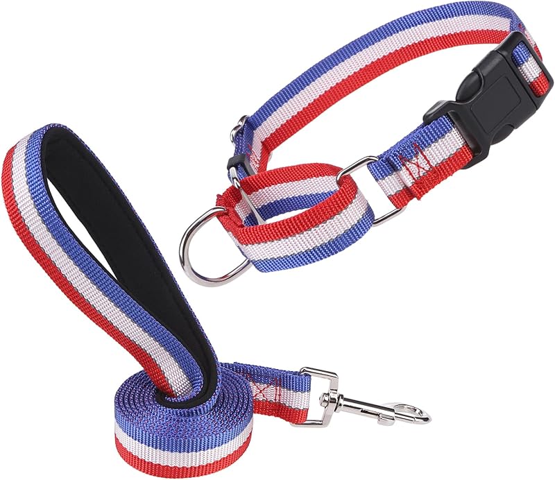 Coleira Martingale Ajustável com Guia Refletiva para Cães ESGPET Vermelha (Large)