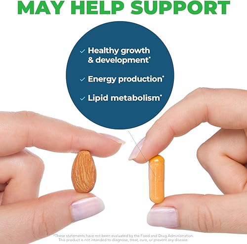 Miniatura 4 de Seeking Health Riboflavina, Vitamina B2, 400 mg Riboflavina, 4 mg Riboflavina-5-Fosfato Activo, Suplemento Energético, Vegetariano (60 Cápsulas)*