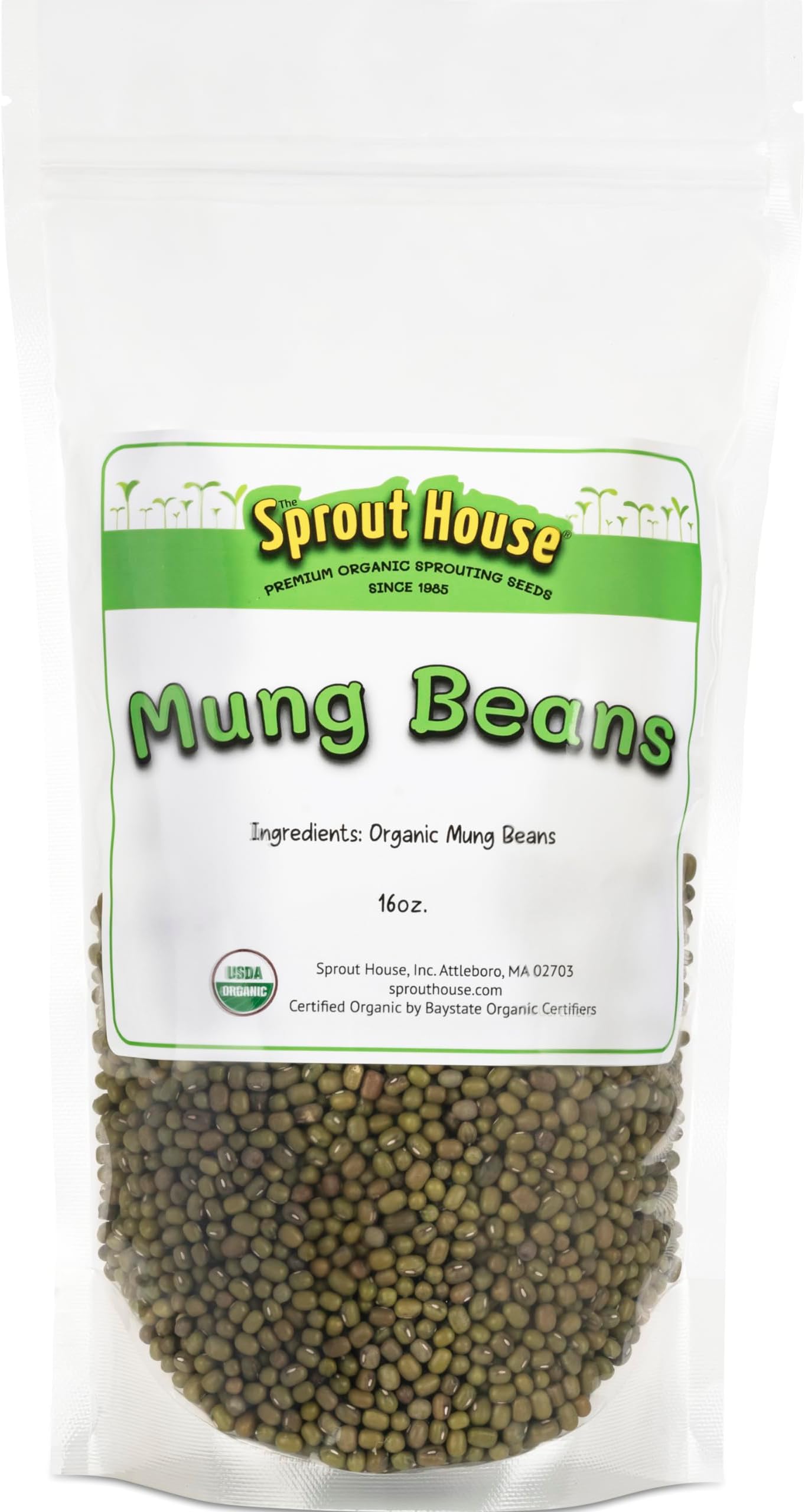 Organic Sprouting Seeds Mung Bean 1 Pound the Sprout House