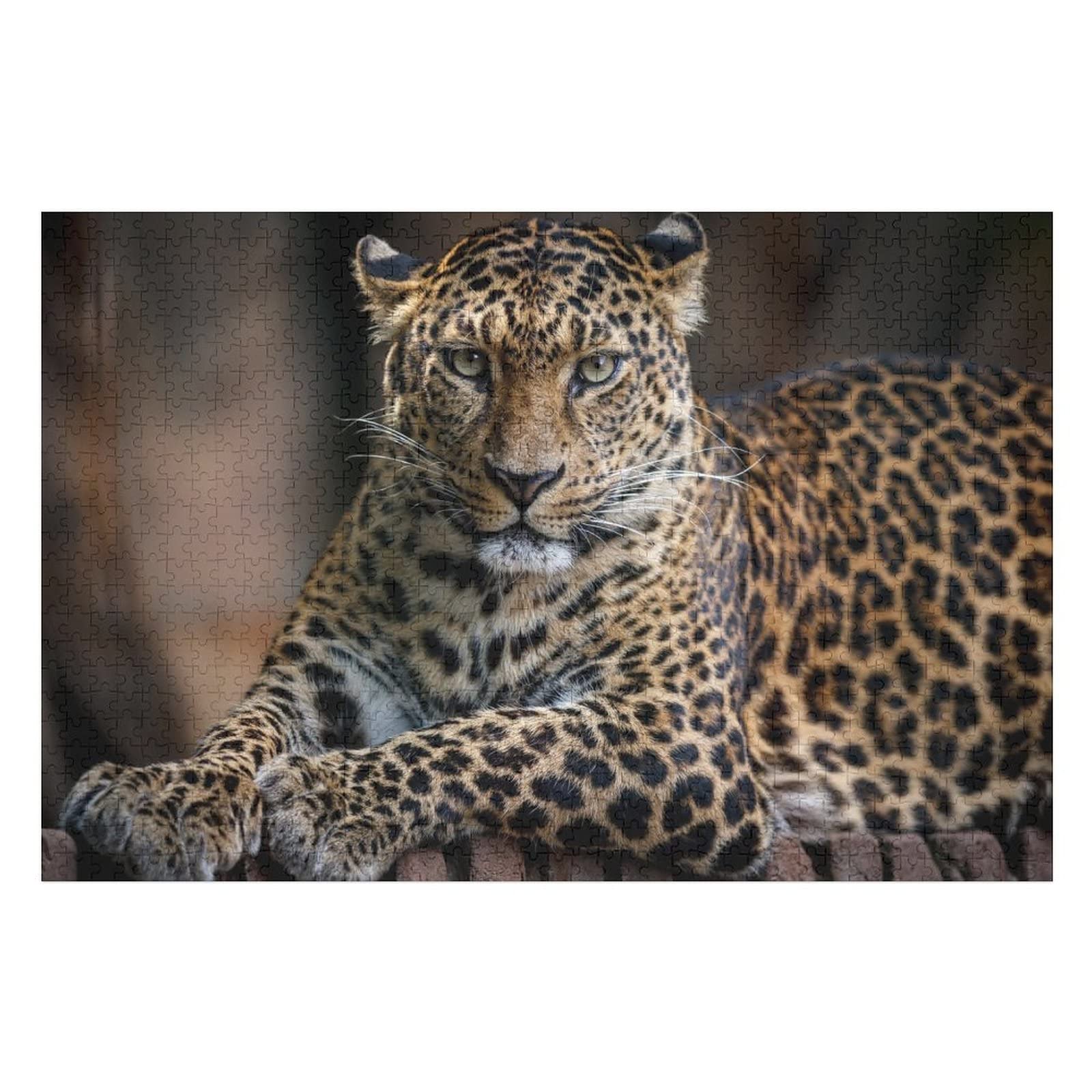 Animal Adults Puzzle Sets 2000 PCS Leopard Graphic Puzzle, for Women Men Games Entertainment Brain Challenge Puzzle 70x100CM