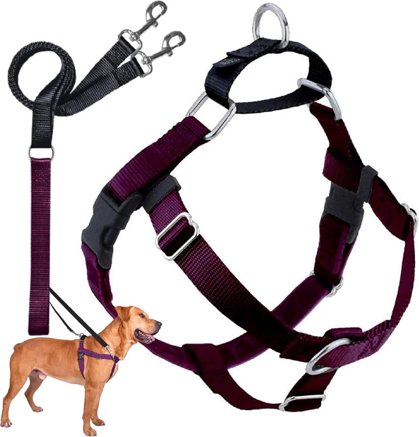 2 Hounds Design Freedom No Pull Dog Harness | Comfortable Control for Easy Walking |Adjustable Dog Harness and Leash Set | Small, Medium & Large Dogs | Made in USA | Solid Colors | 5/8" MD Burgundy 5/8" MD (Chest 24"- 28") Burgundy