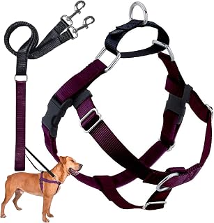 2 Hounds Design