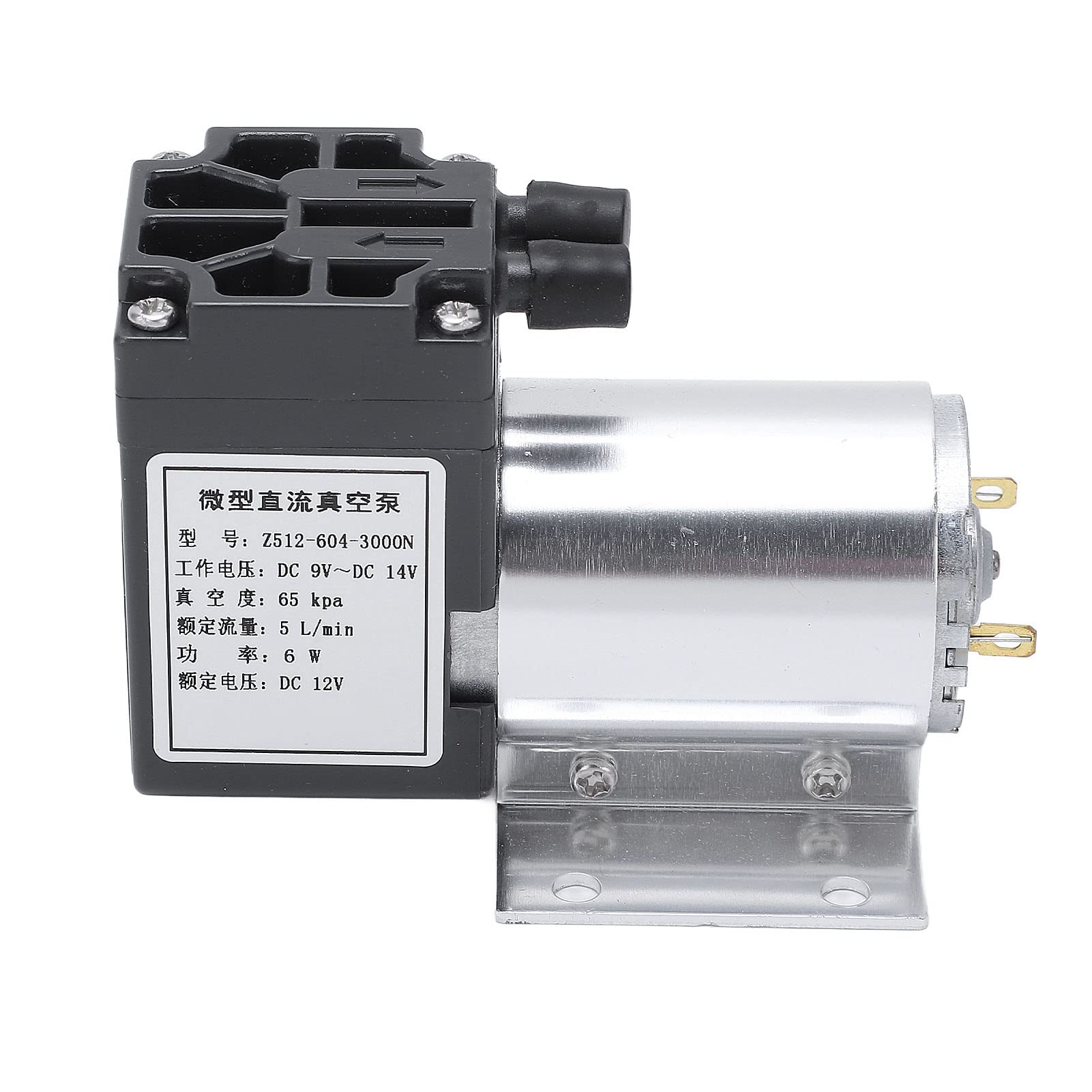 Tyenaza Pompa per Vuoto 12V, Mini Pompa a Vuoto a Pressione, 5L/Min 120Kpa Pompa di Aspirazione del Vuoto con Pompaggio di Aspirazione a Pressione Negativa con Supporto