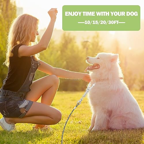 Miniatura 4 de Cable de amarre para perros de 10152030 pies para entrenamiento con gancho giratorio, cadenas reflectantes verdeazulmorado para perros exteriores