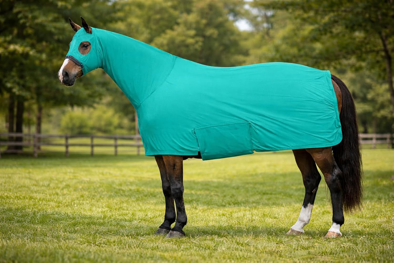 Majestic Ally Full Body Horse Sheet with Neck Cover, 4-Way Stretch Spandex, Multiple Colors, Small to Extra Large (Turquoise, Medium)