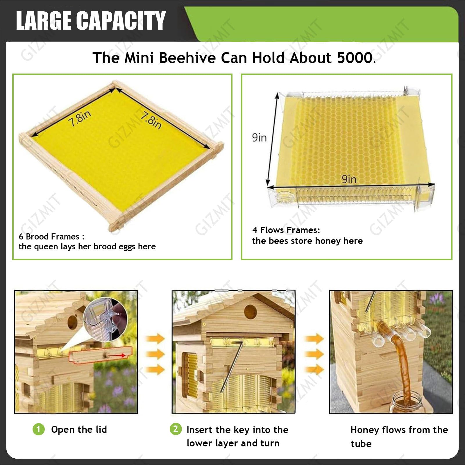 Kit Completo per Arnie, Kit di avviamento per Arnie, arnia a Flusso Automatico con 4 telaini, arnia in Legno a Flusso, Kit Completo per Apicoltura, Colore Legno Naturale