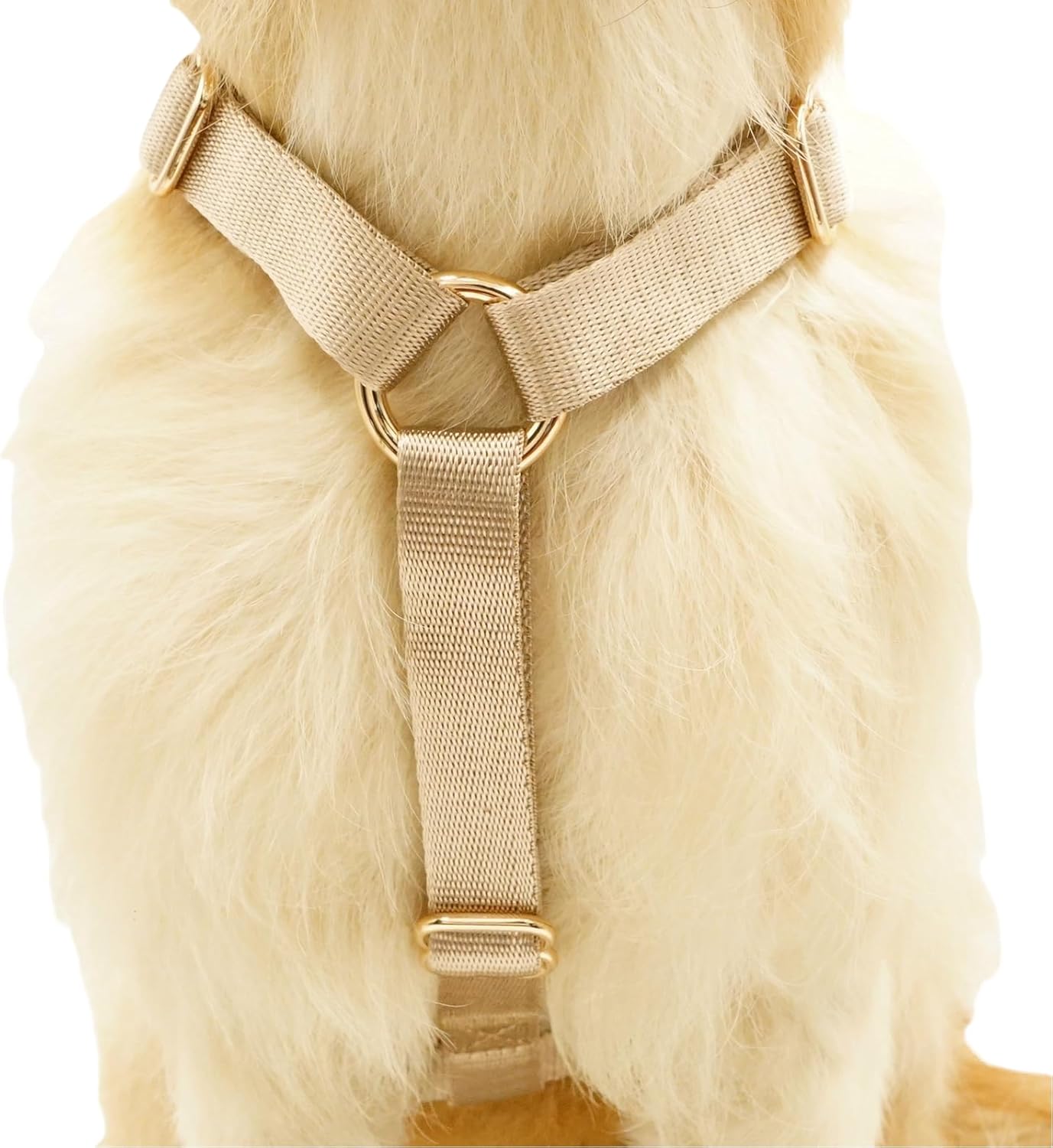 Nylon No Pull Dog Harness with Gold Metal Buckles,Easy Walking and Training Dog Harness (Tan, S)