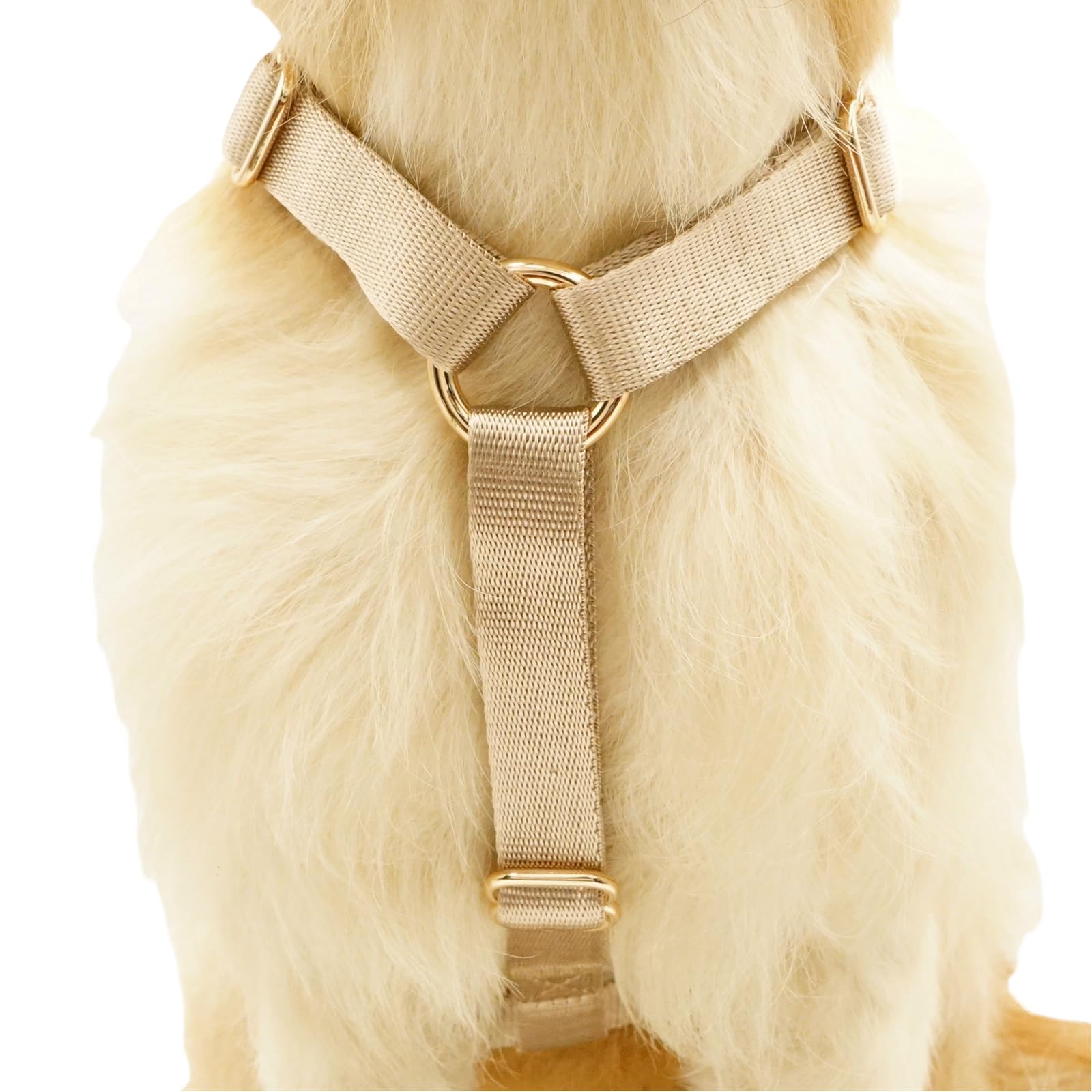Hundegeschirr 'No-Pull' Aus Nylon – Verstellbar, Mit Goldfarbenen Schnallen, Bequem Für Spaziergänge