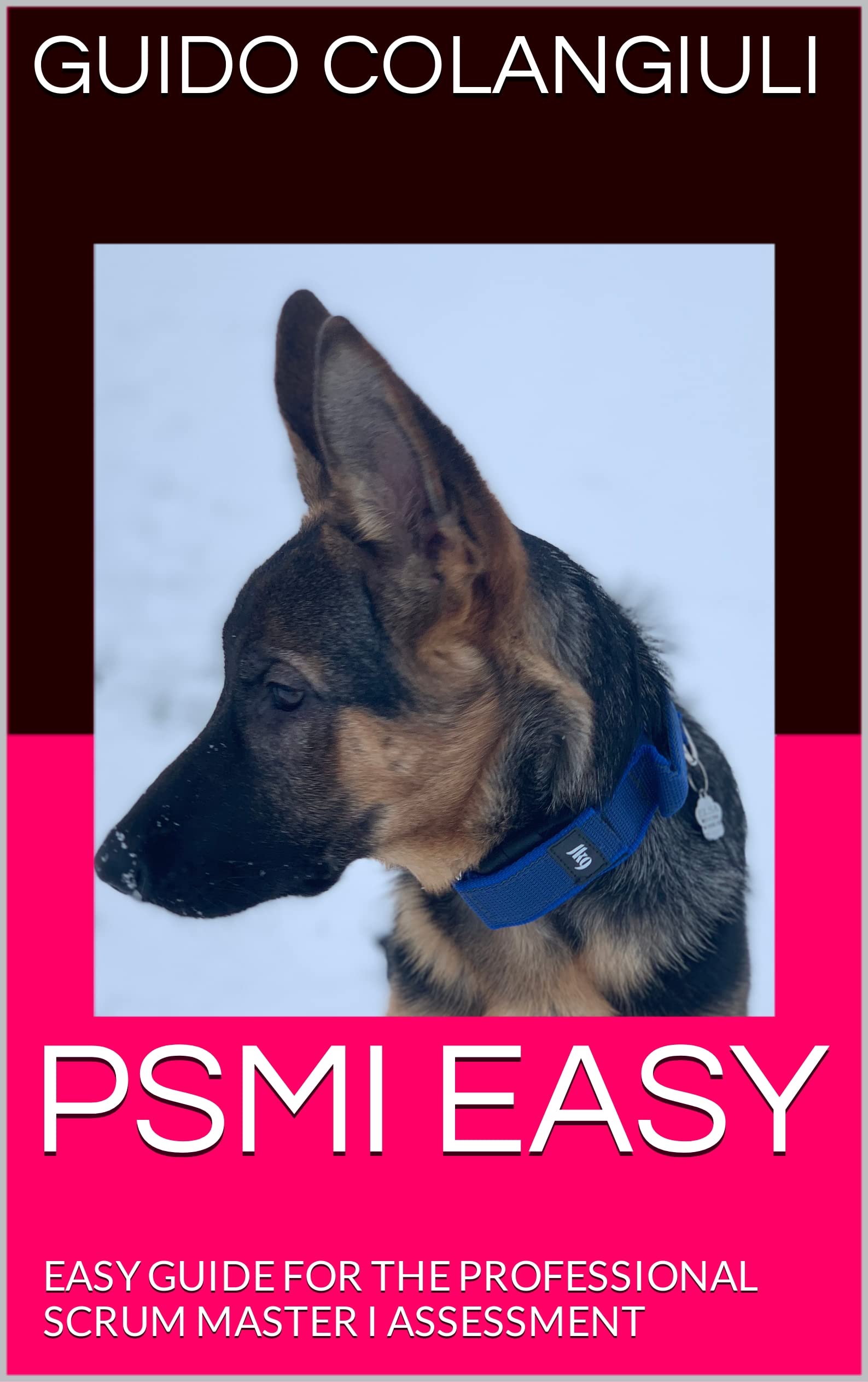 PSMI EASY: EASY GUIDE FOR THE PROFESSIONAL SCRUM MASTER I ASSESSMENT (PSM Easy - Easy Guide for the Professioanl Scrum Master Assesment)