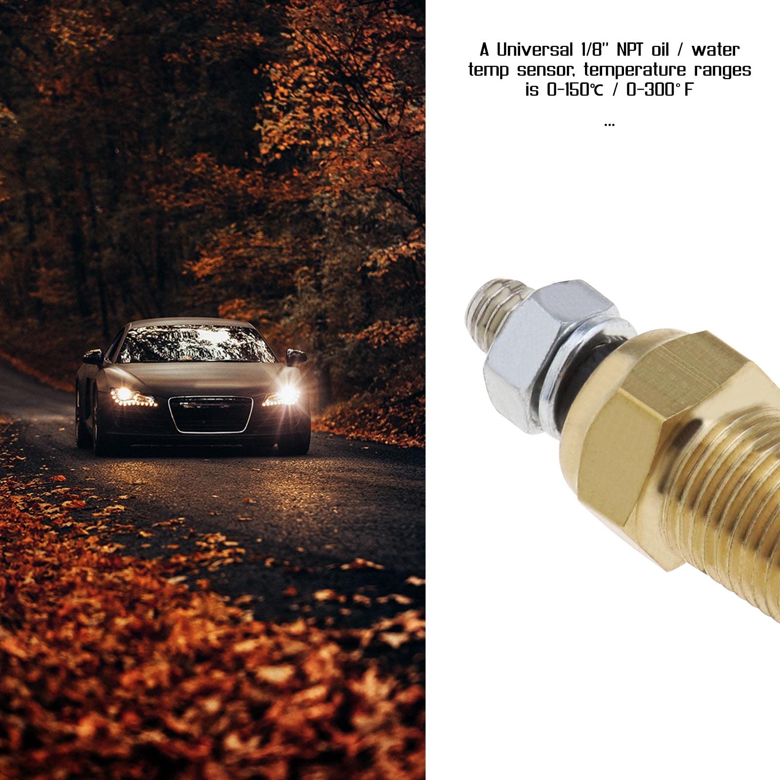 ENET Misuratore di temperatura acqua olio 1/8" NPT 0-150°C universale