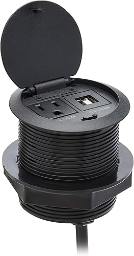 Tripp Lite Safe-IT - Cubierta para cable de escritorio y protección contra sobretensiones, con ojales de alimentación, 1 toma de corriente + 2