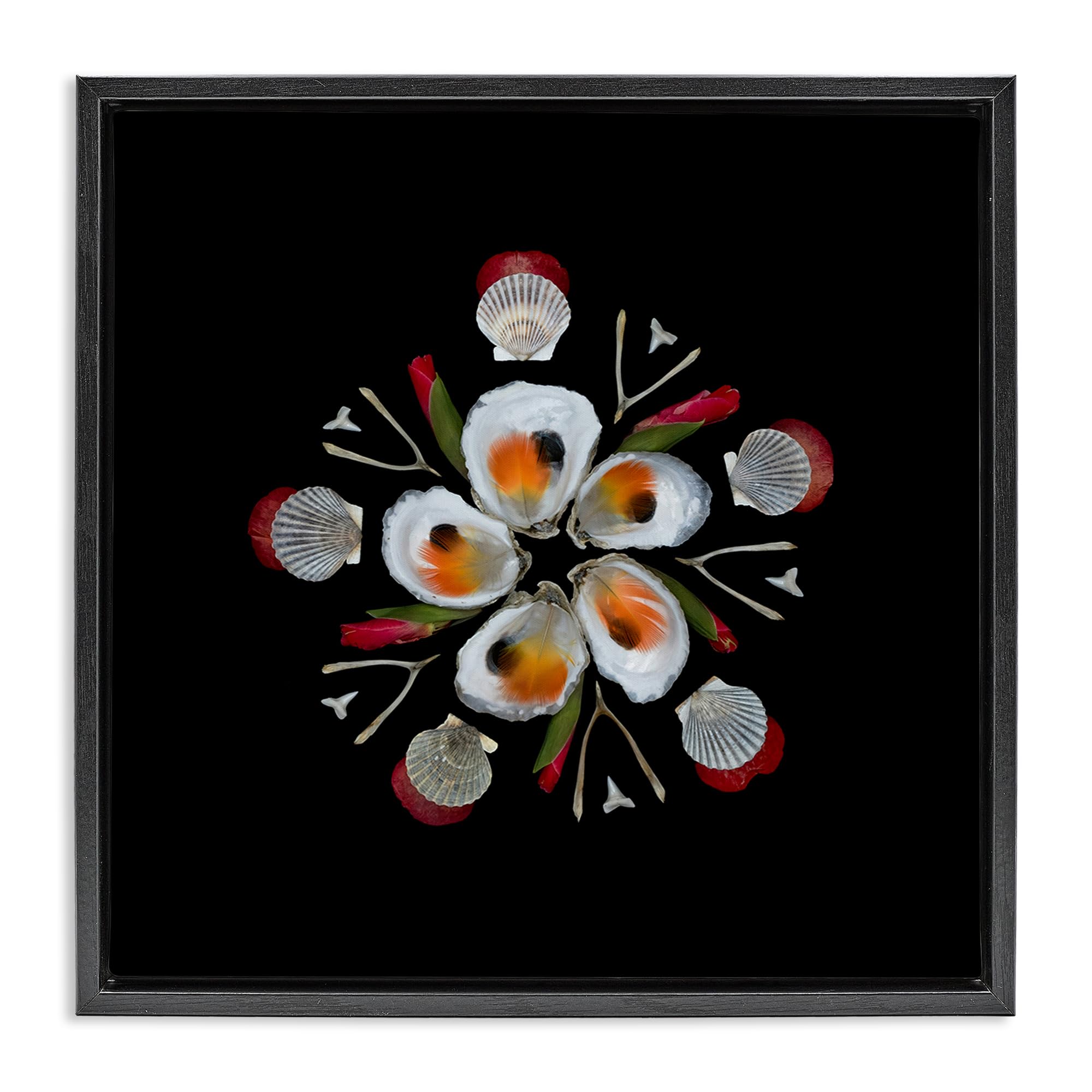 Stupell Industries 'Nautical Oysters Mandala', Floating Frame Canvas Art, Black, 25 x 25 Inches, Easy to Hang and Sturdy, Made in USA, by Beth Adoette