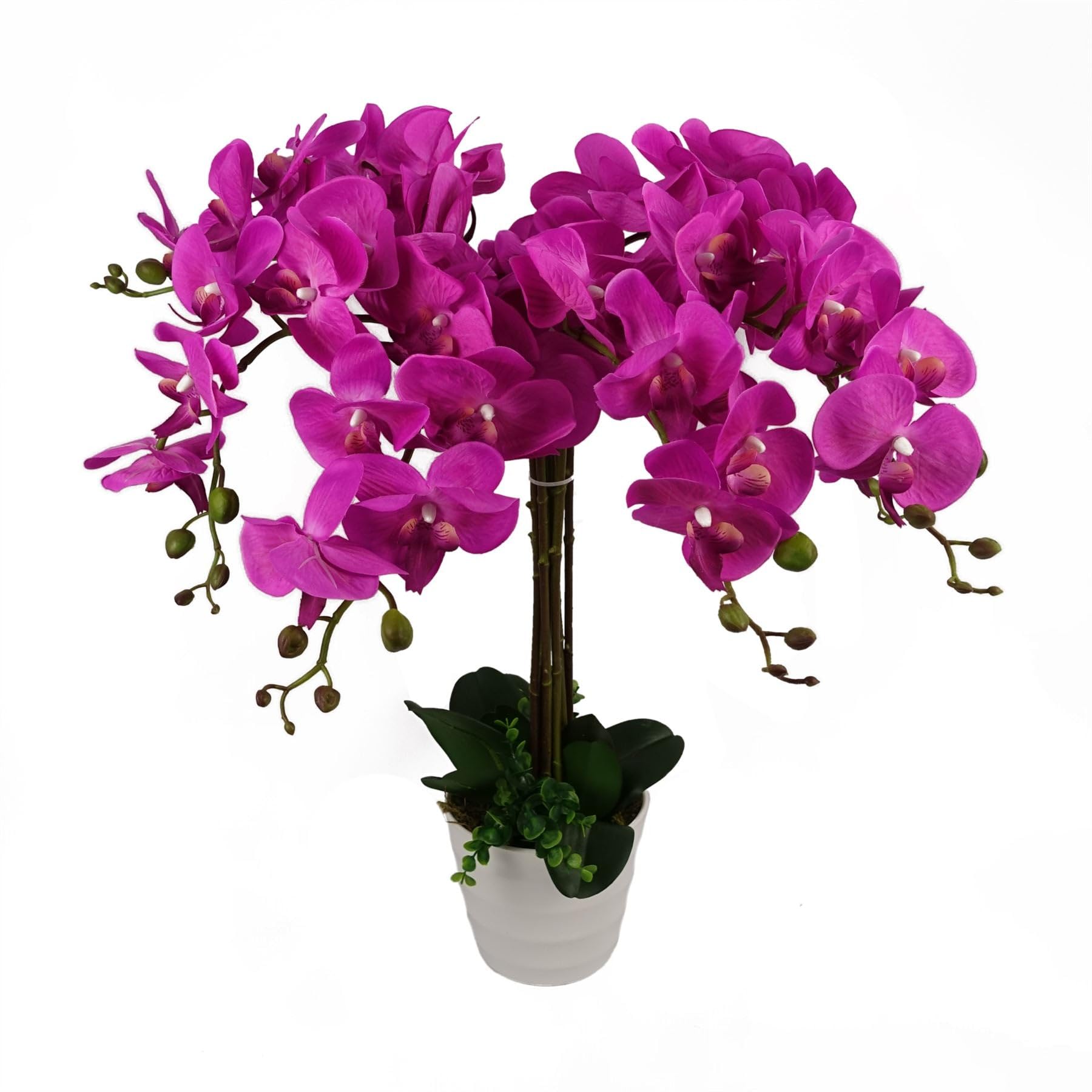 Botanik Realistic Artificial Orchid Plants Fully Potted