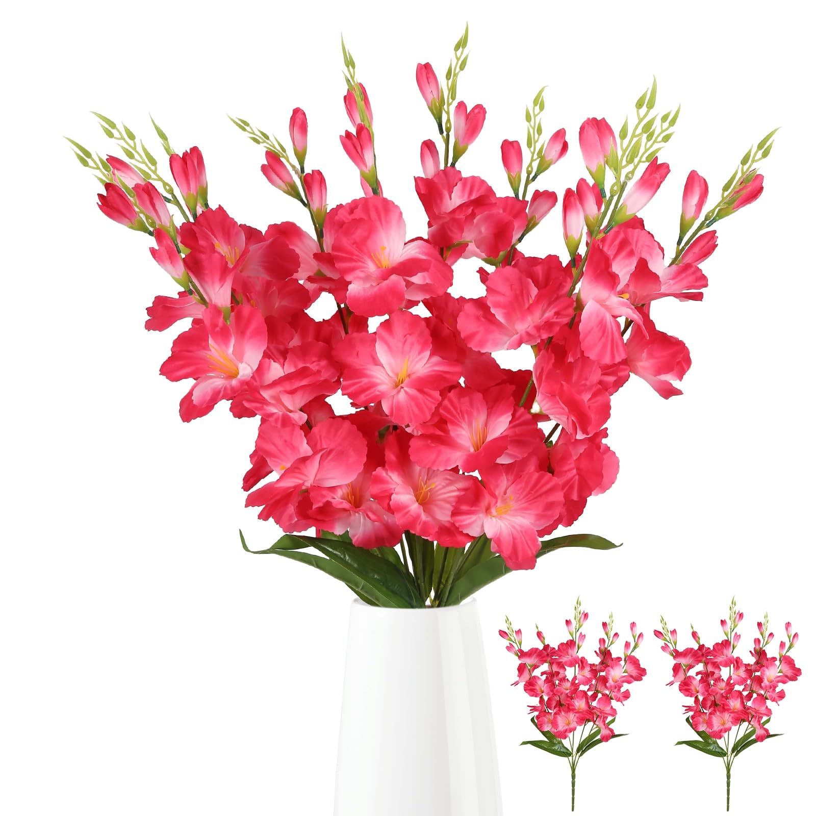 ICBOX 2 Bundles Hot Pink Gladiolus