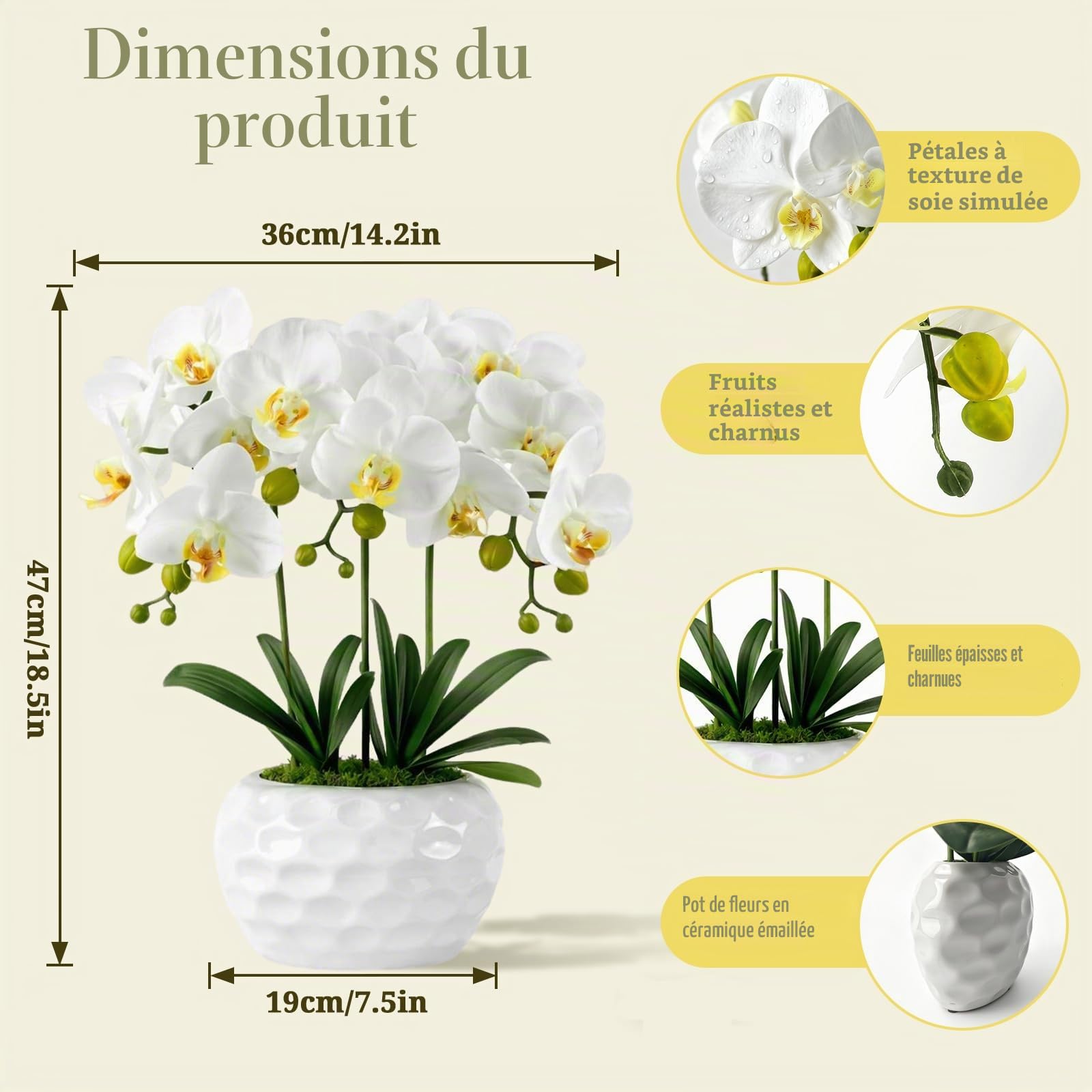 PlusFive Orchidées artificielles en pot - Phalaenopsis blanches en soie, orchidées artificielles comme de vraies pour la décoration intérieure, décoration de table, décoration de rebord de fenêtre