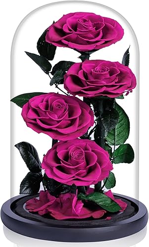 Flores preservadas en cúpula de cristal, rosas reales para siempre, regalos para mujeres, flores para el día de San Valentín para ella, flores de
