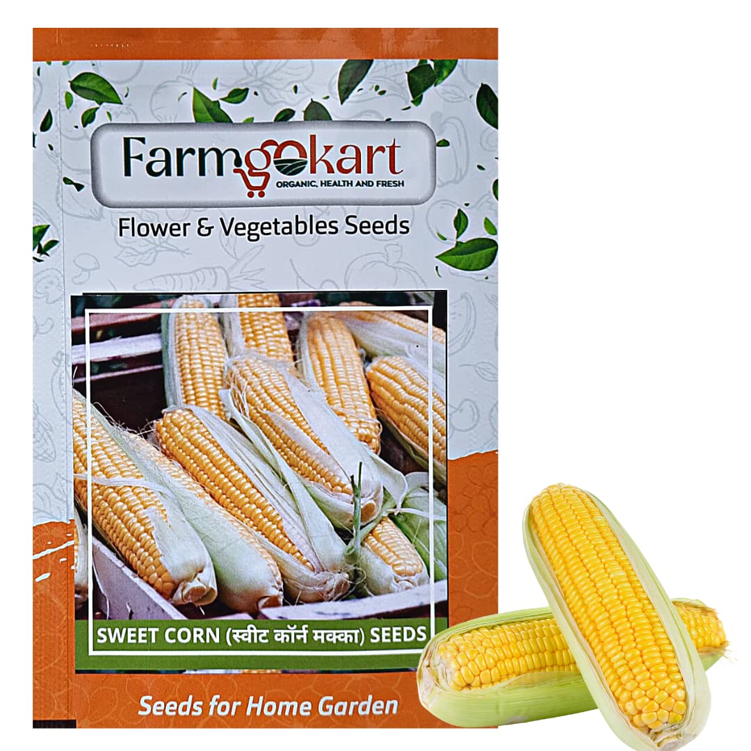 Farmgokart |Pack of 20 Nos | SWEET CORN SEED | Best Suitable For Terrace And Home Gardening |Quality Exotic vegetable Seeds| (B09QK9RB1R) Amazon Price History, Amazon Price Tracker