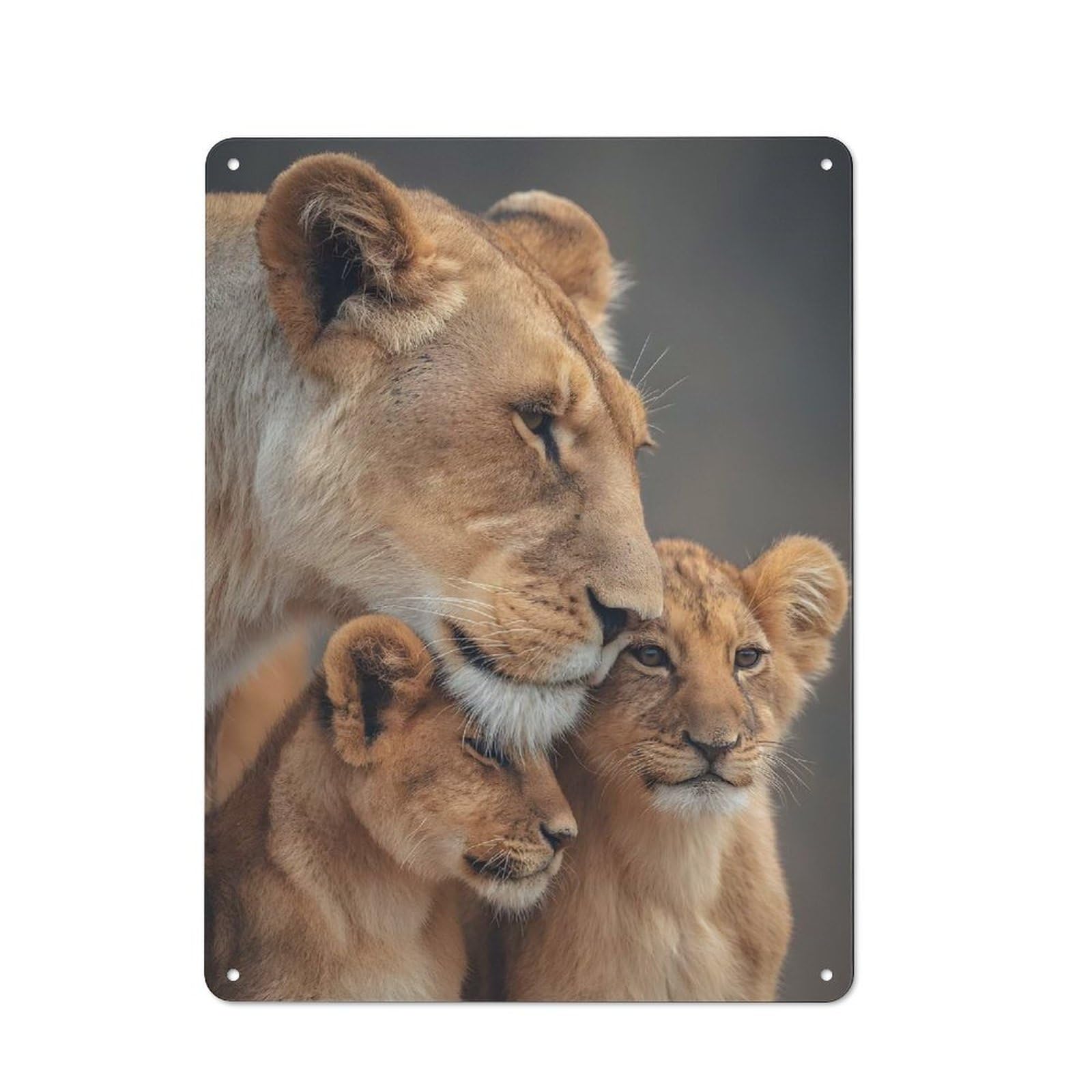 Lioness with Cubs Portrait Retro Metal Wall Decor 40x30cm, Metal Wall Art Sign for Living Room, Hallway, Kitchen Or Cafe