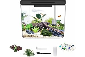 Mini Fish Tank Kit 0.8 Gallon for Desktop | Stylish, Self-Cleaning &...