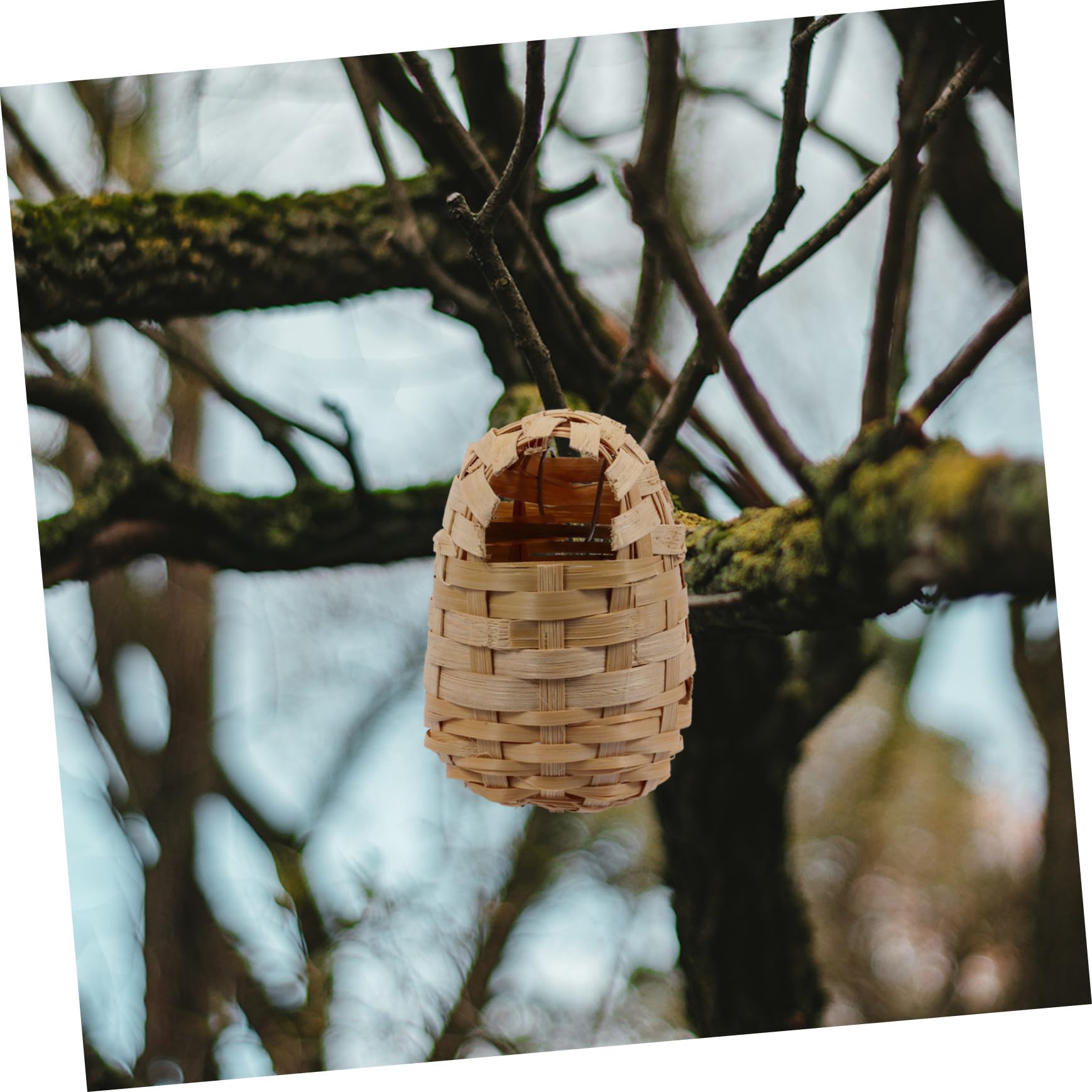 6 Nidos de Pájaros Únicos de Bambú para Exterior con Ganchos, Resistentes y Transpirables, Ideales para Colgar Porche o Dentro de Casa