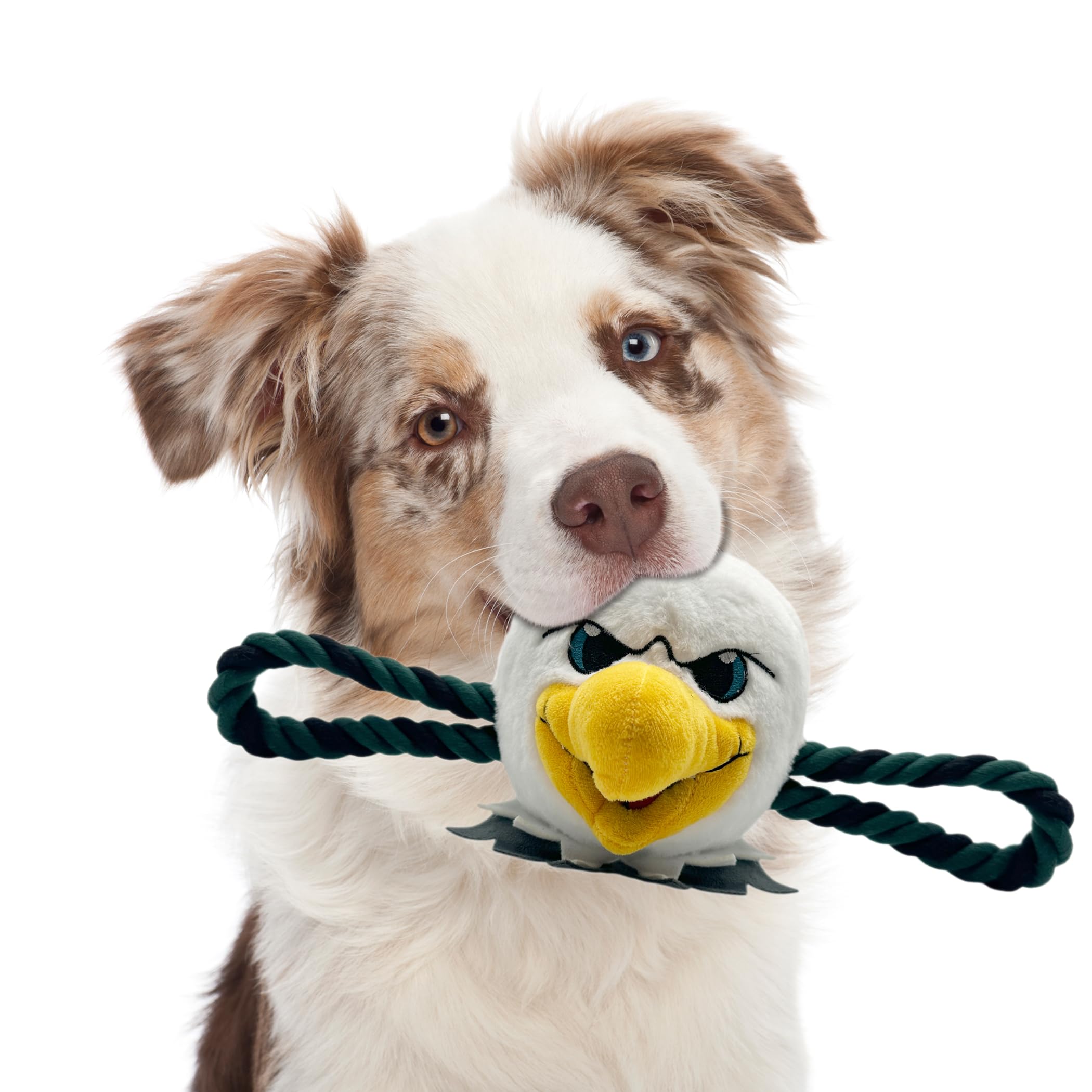 Pets First NFL Philadelphia Eagles Mascot Toy for Dogs & Cats. New Cute & Entertaining 3D Mascot Face with Heavy-Duty Ropes & Chewy 7
