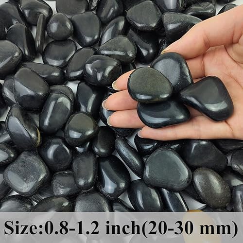 Miniatura 2 de Piedras negras de 2 libras para plantas de interior, piedras pulidas de 0.8 a 1.2 pulgadas. Rocas decorativas de río negro para plantas en maceta,