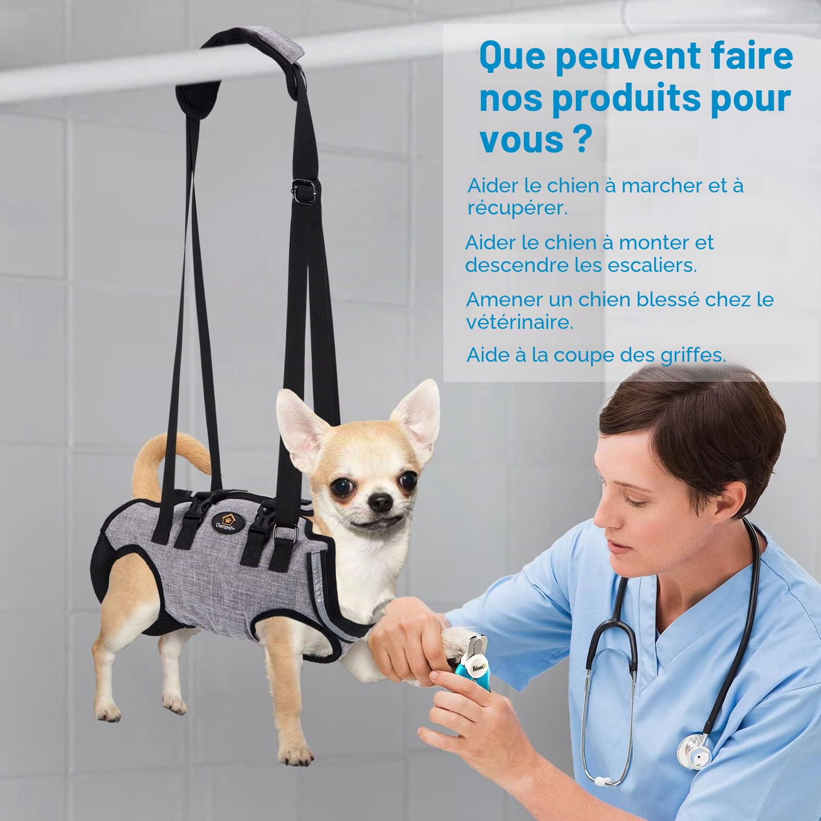 Ownpets Harnais de Levage pour Petit Chien, Serviette de Transport pour Petit Chien, Harnais Complet pour Tout Le Corps, Sac de Transport avec bandoulière, Doux, imperméable, réglable, Gris,S