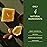 MAGSOL Magnesium Deodorant for Men, Aluminum Free, Baking Soda Free Natural Deodorant for Sensitive Skin, Long Lasting Odor Protection with Sweet Almond Oil, Lemongrass 2.6 oz