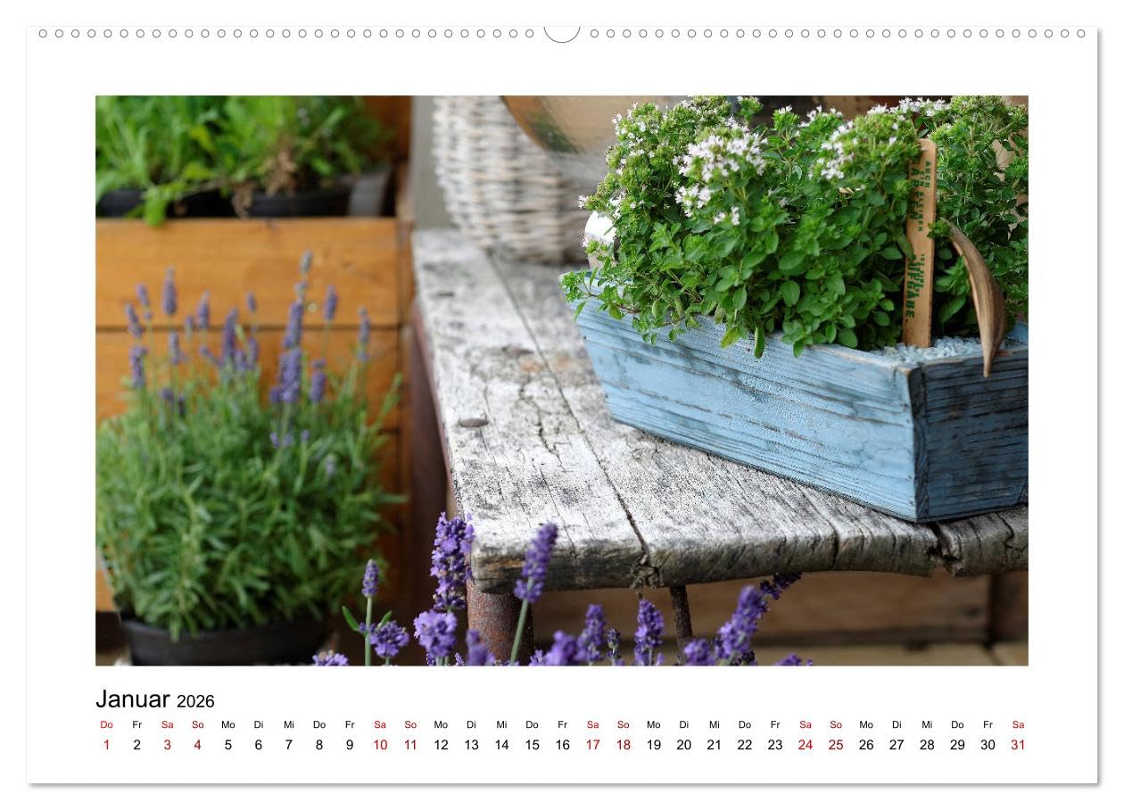 Garten-Idylle 2026 (hochwertiger Premium Wandkalender 2026 DIN A2 quer), Kunstdruck in Hochglanz: Ein farbenfroher Streifzug durch liebevoll gestaltete Gärten. (CALVENDO Natur)