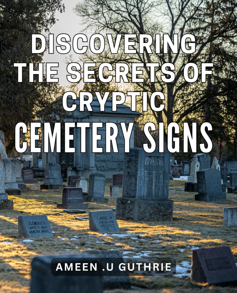 Discovering the Secrets of Cryptic Cemetery Signs: Unraveling the Mysteries of Hidden Graveyard Symbols for Spooky Thrills and Chills