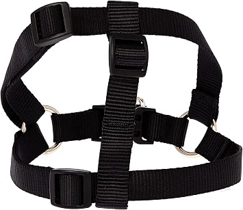 LupinePet Basics 3/4" Black 15-21" Step In Harness for Small Dogs