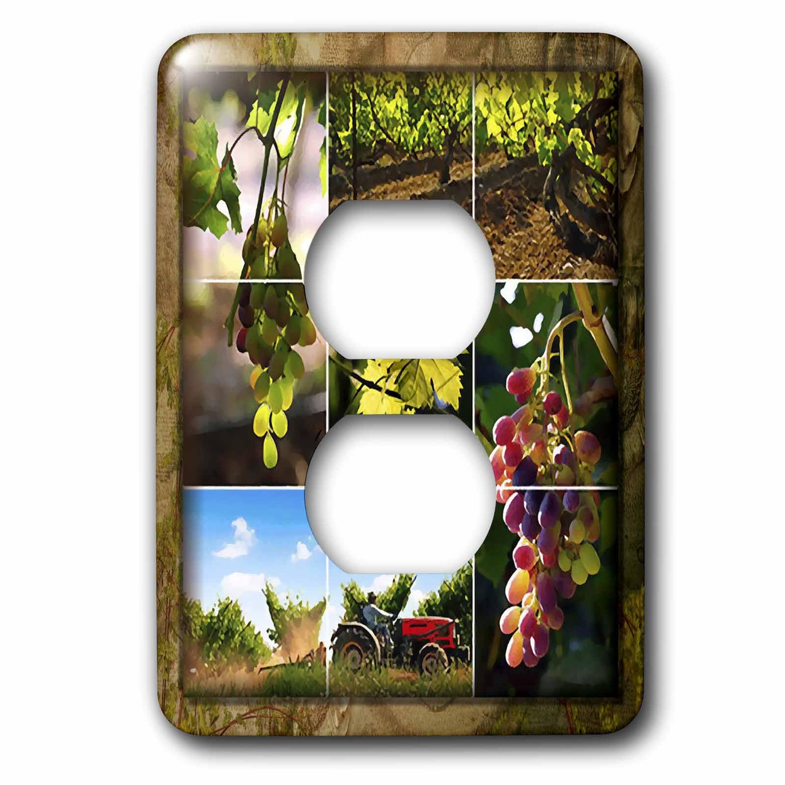 Napa Valley Collage 2 prises plaque de finition double prise murale