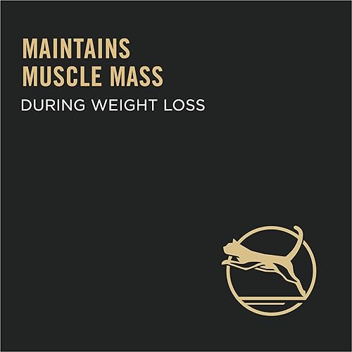 Miniatura 7 de Purina Pro Plan LiveClear con probióticos, reducción de alérgenos, para adultos, comida seca para gatos y shampoo para gatos