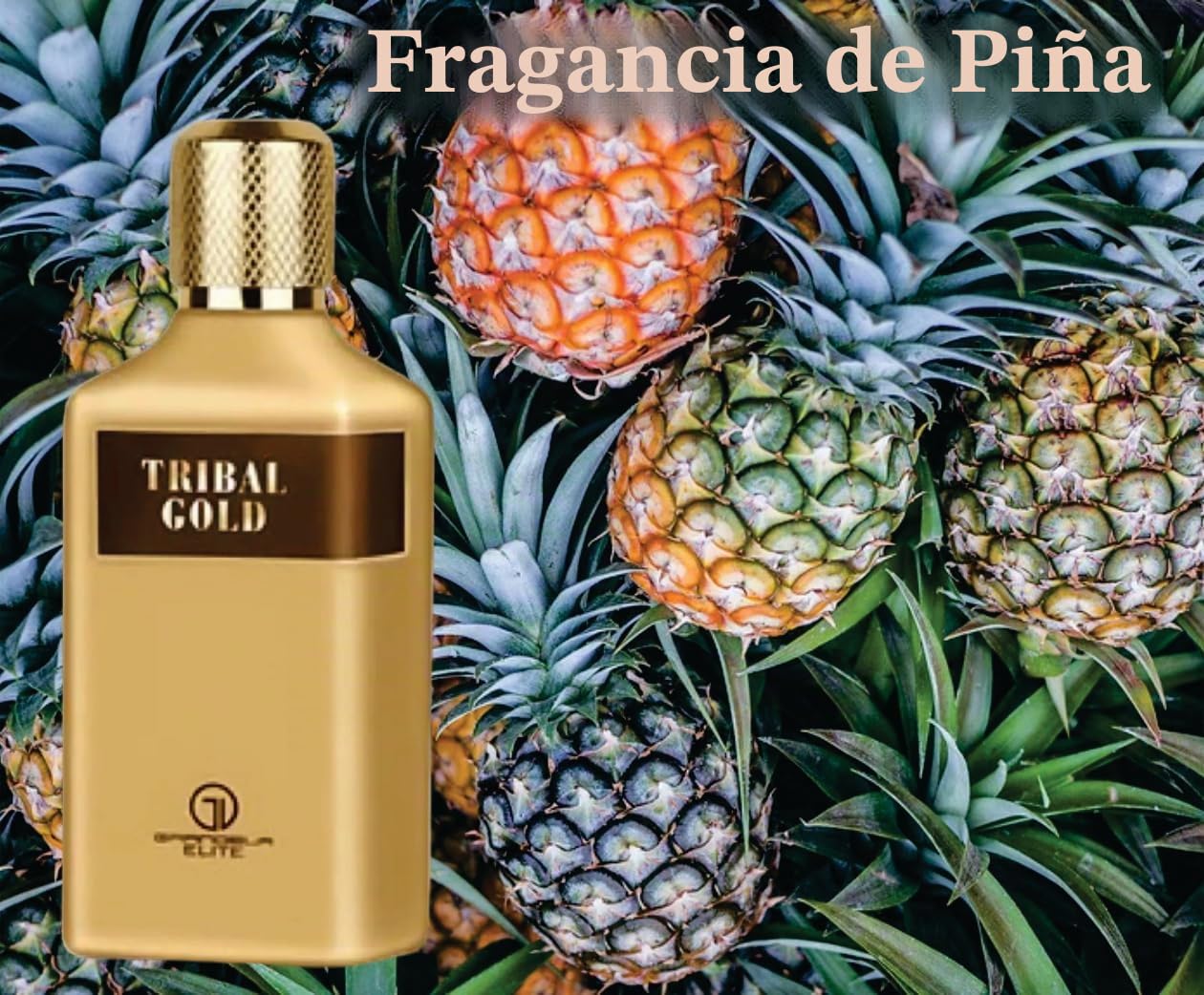 Sapphire's choice - Perfume Tribal Gold | Perfume Tribal Gold para