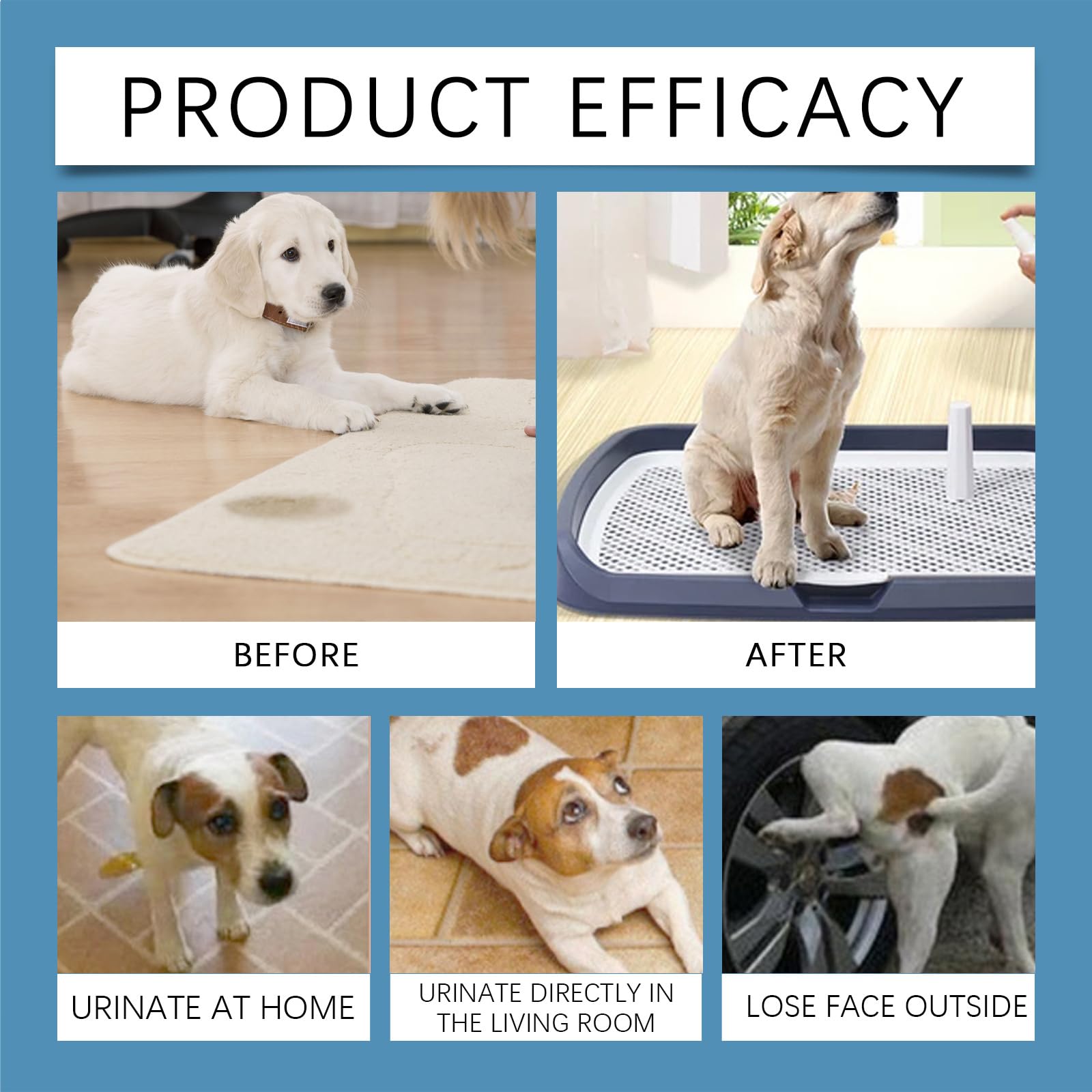 Spray pour Chien Propreté pour Animaux de Compagnie l'Intérieur et l'Extérieur,50ML,1PC,Spray Entraînement à la Propreté pour Chiens,Aide à l'Apprentissage