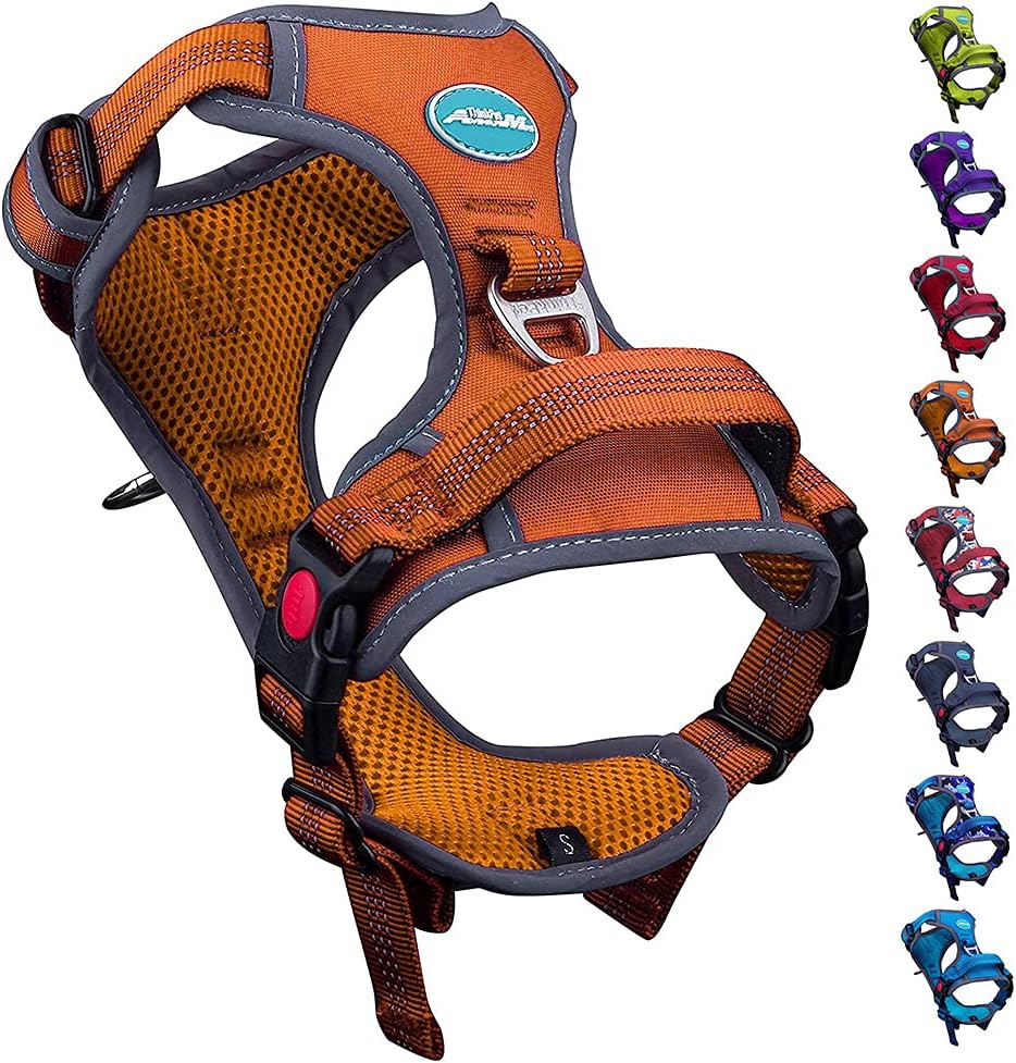 ThinkPet Halloween's Day No Pull Harness Breathable Sport Harness with Handle-Dog Harnesses Reflective Adjustable for Medium Large Dogs,Back/Front Clip for Easy Control S Orange