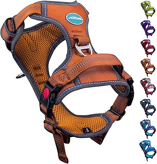 3 peaks excursion dog harness
