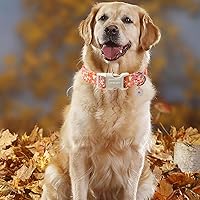 Vista 132 de Aring Pet Collar de algodón, ligero y ajustable, con hebilla de liberación rápida para perros pequeños, medianos y grandes, para cachorros, XS