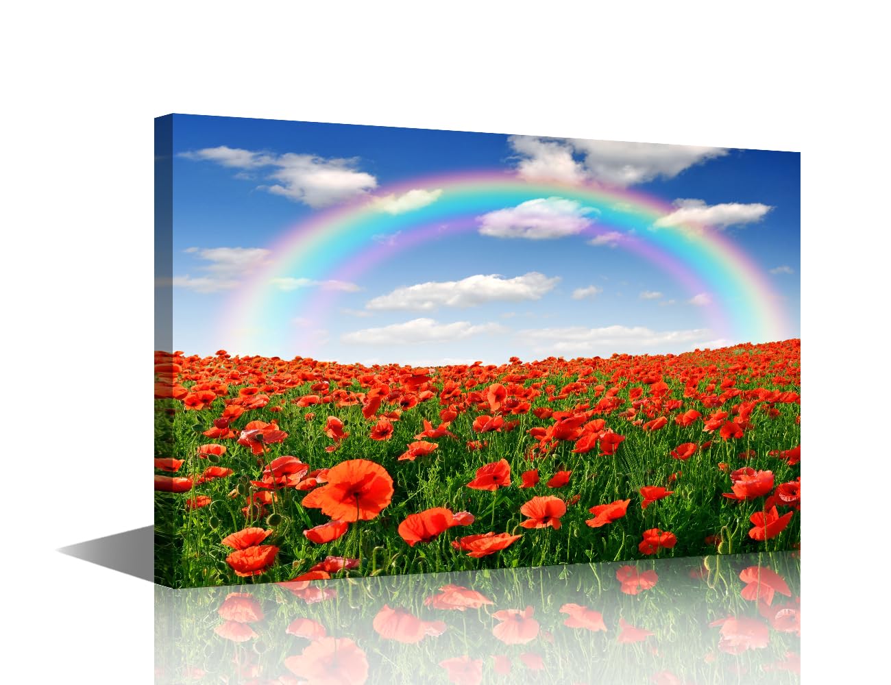 TISHIRON 1 Piece Poppy Wall Art Canvas Painting Flowers Wall Art Artwork for Home Walls Rainbow Wall Art Framed Wall Art Home Wall Office Room Decor Wall Art Ready to Hang, 16x24inch