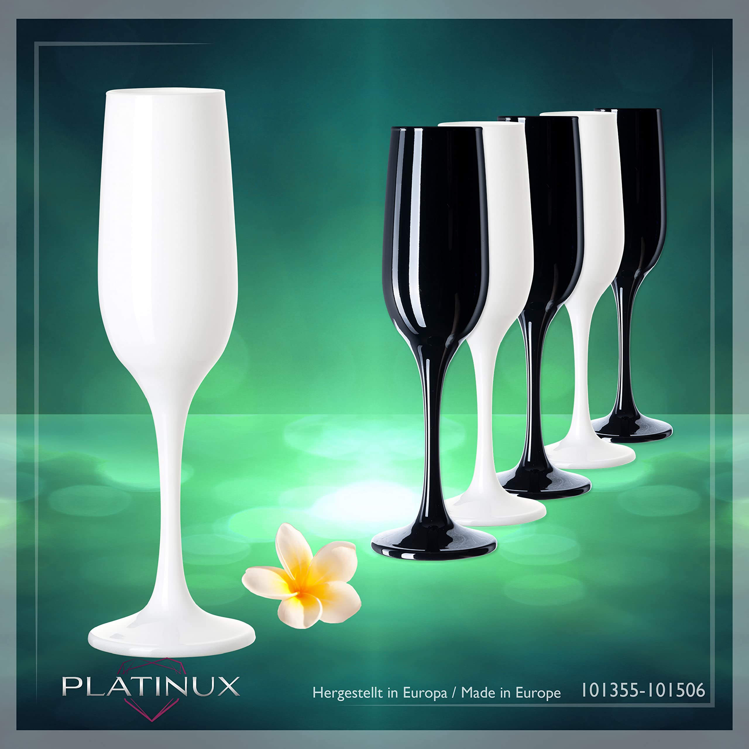 PLATINUX Juego de 6 copas de champán de 210 ml, color blanco y negro