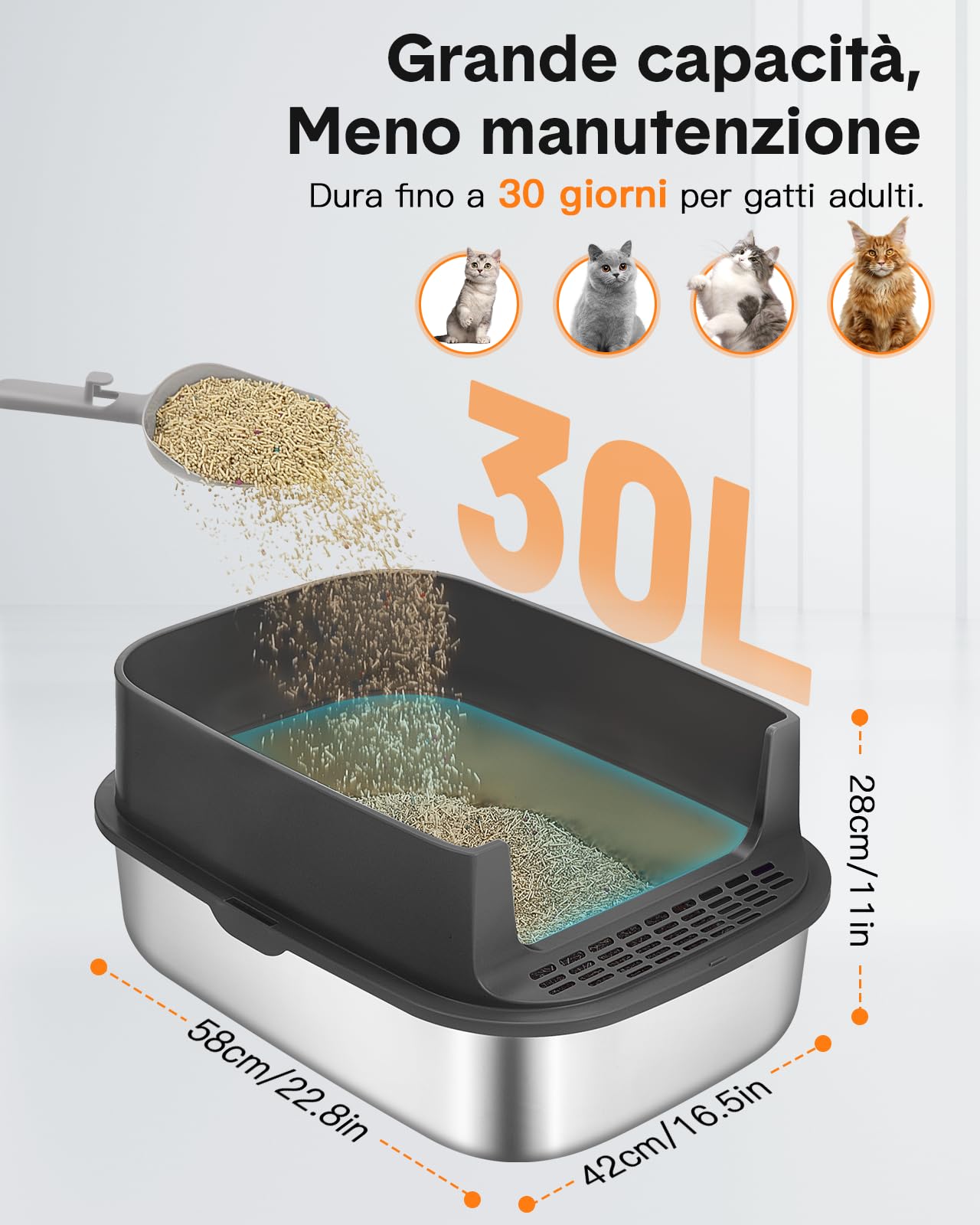 Papettly Lettiera Gatto Chiusa in Acciaio Inox-Lettiera Gatto Acciaio Inox XXL 58x42x40cm, Lettiera Acciaio Inox per Gatti Antiaderente, Anti-Odore, Facile da Pulire con Paletta, Spazzola e Tappetino