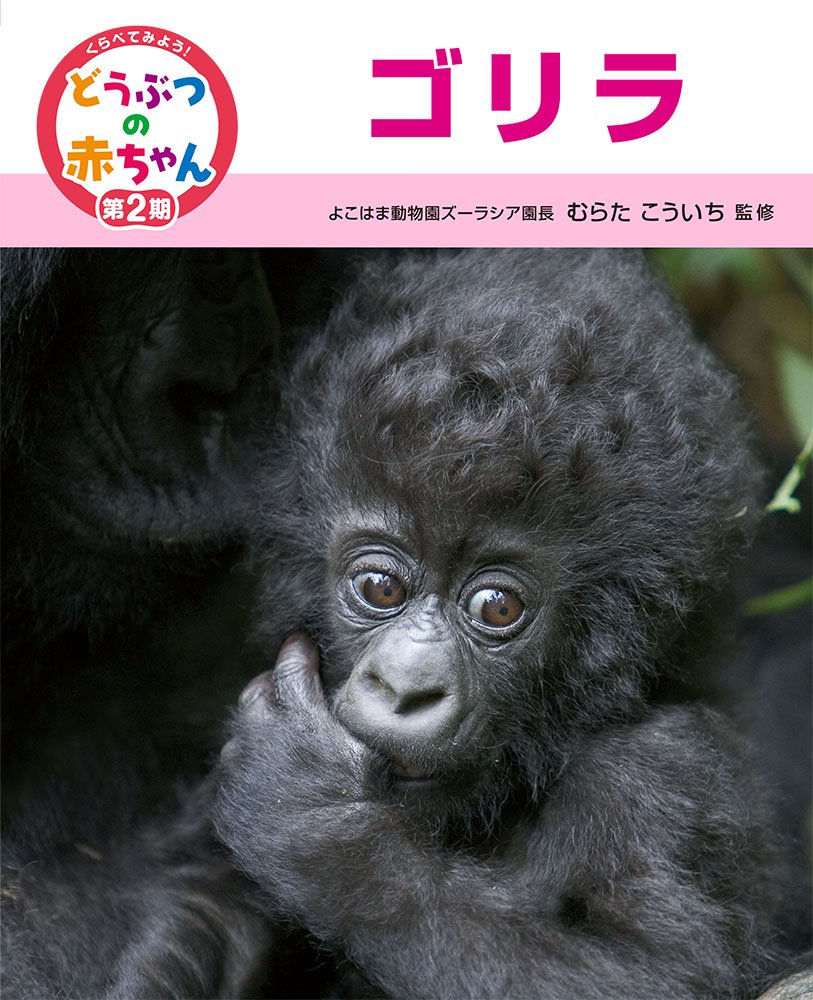 Amazon.co.jp: ゴリラ : むらた こういち: 本