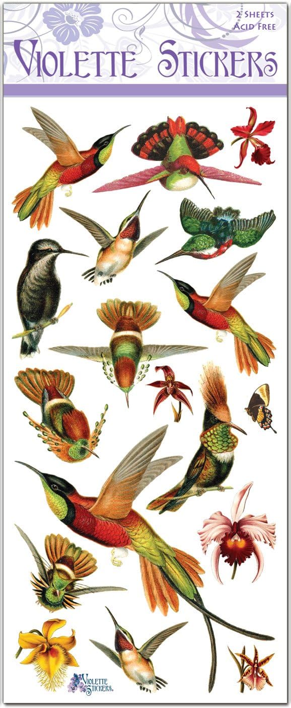 Hummingbird Sickers from Violette Stickers