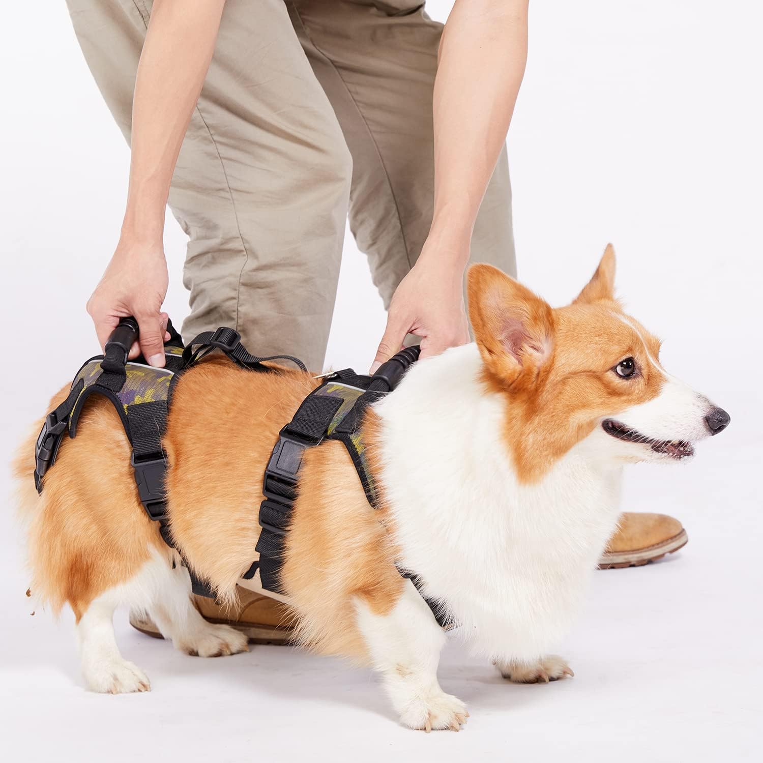 dog carry harness