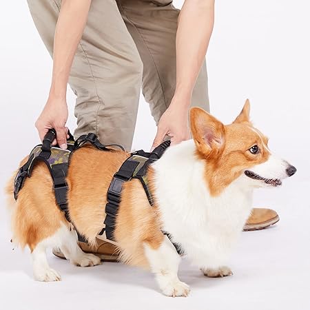 dog harness carrier