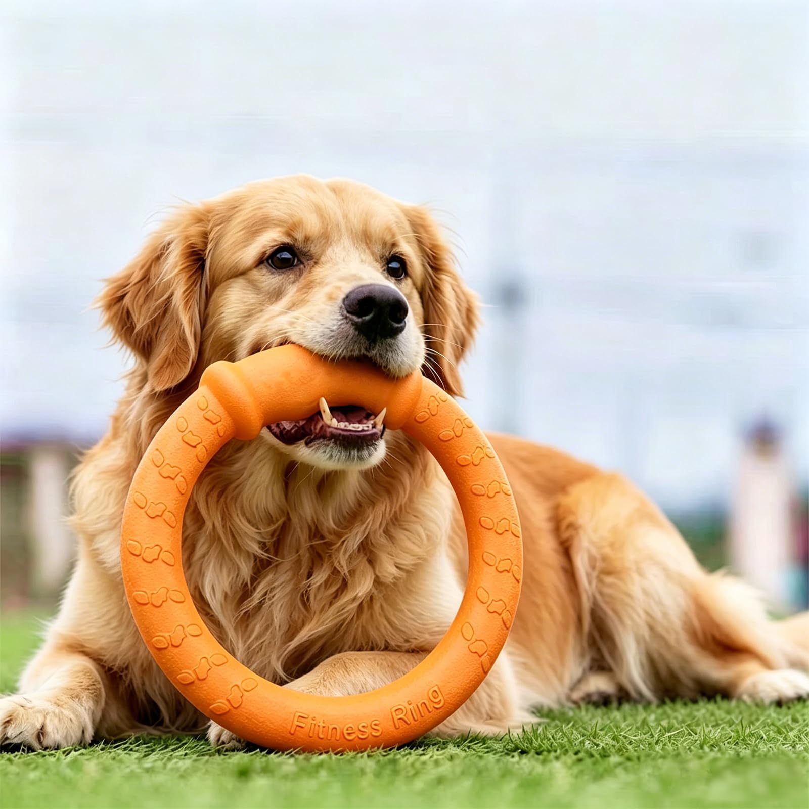 LaRoo Hundespielzeug Hunde Frisbee Hundefitness Ring - Unzerstörbare Flugscheibe Extra Dick - Schwimmendes Hundespielzeug für Outdoor, Training, Sommeraktivitäten für Große Hunde (Orange)
