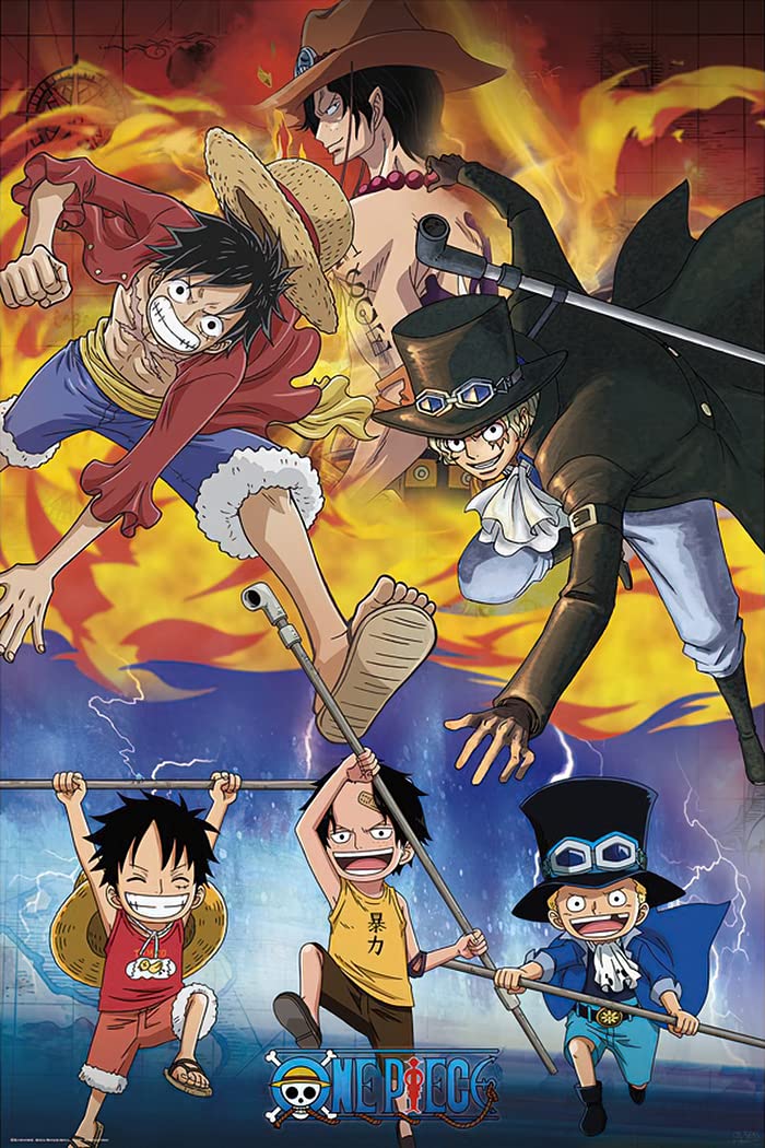 ONE PIECE A3ポスター Amazon.co.jp: ComicSense.xyz ワンピース アニメ 指名手配