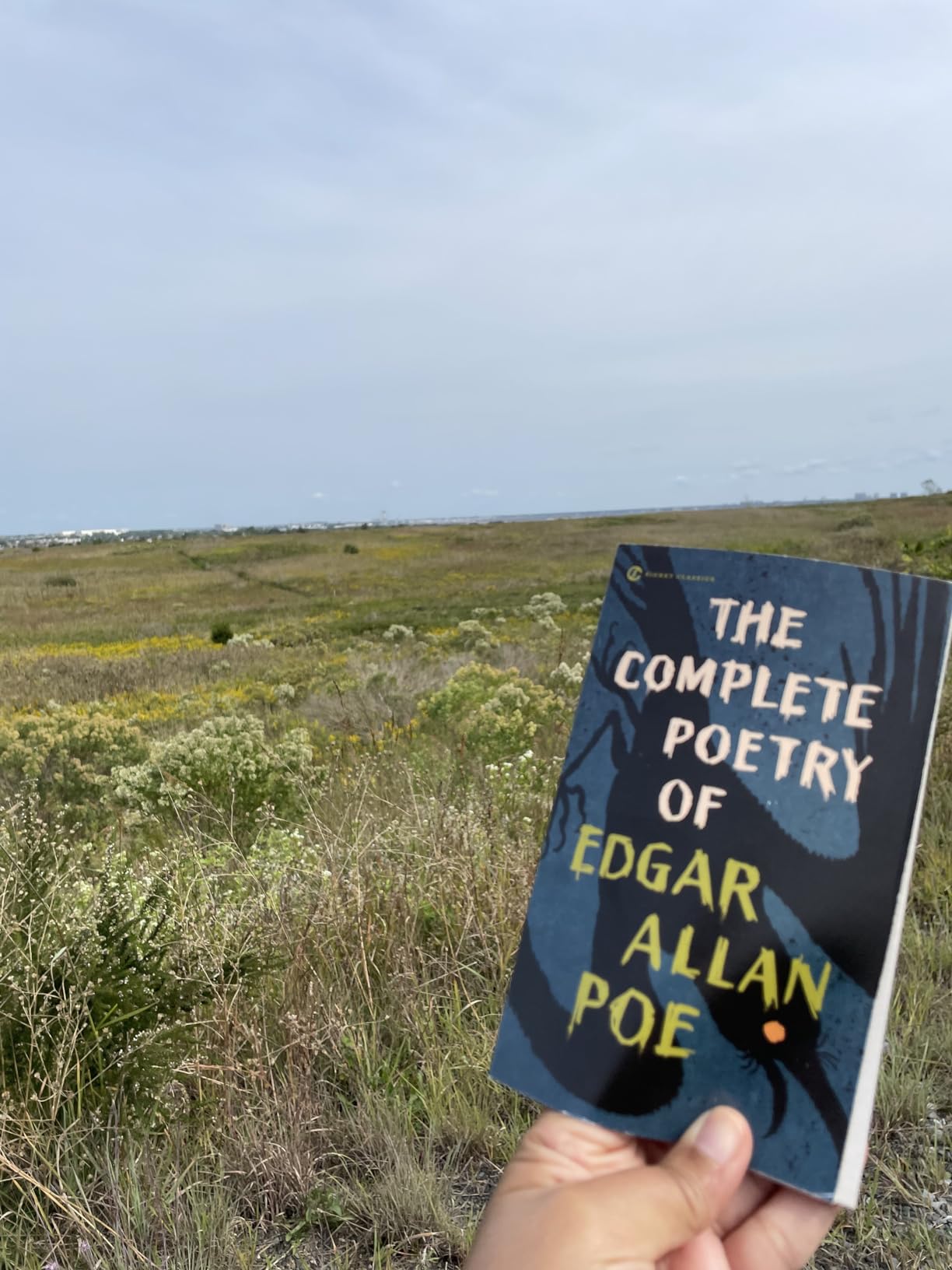 Perfect read for the Fall Season